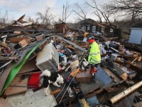 lu lut va lo dat o sri lanka so nguoi thiet mang tang len 164
