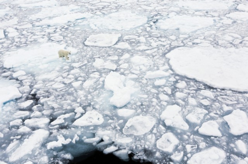 iea va irea hoi thuc the gioi dung su dung nhien lieu hoa thach