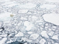 new york huong toi su dung nang luong mat troi quy mo lon