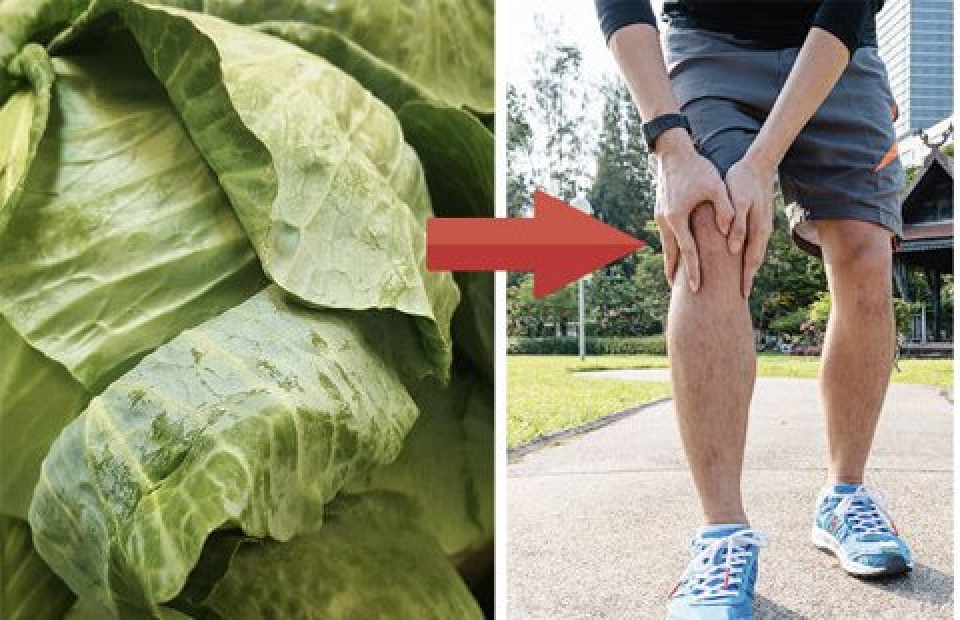 dau gut den may co la bap cai la do lien