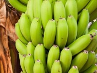 axit amin trong thuc an co the la chia khoa tieu diet ung thu