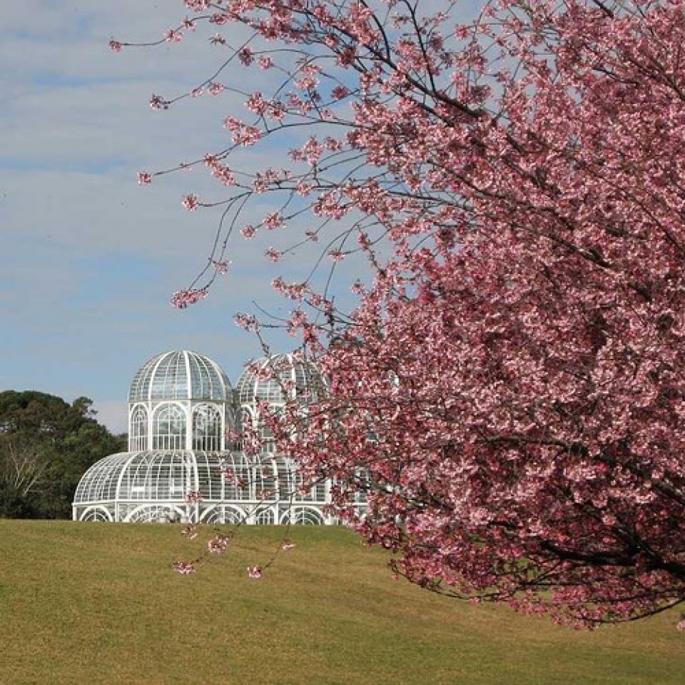 nhung le hoi hoa anh dao an tuong tren the gioi