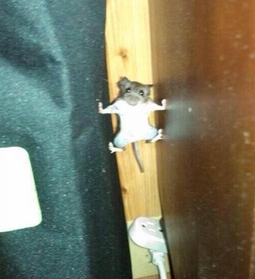 nhung pha bat khoanh khac sieu dang cua cac tay may hang dau