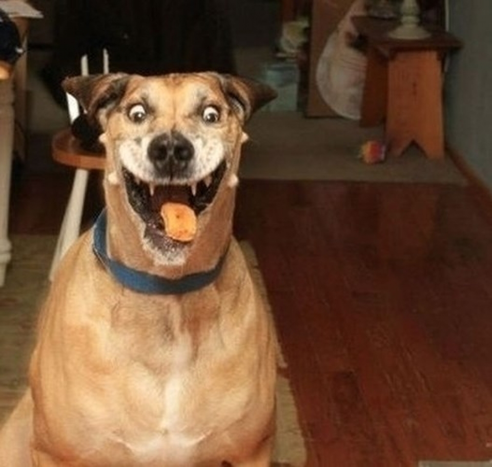 nhung pha bat khoanh khac sieu dang cua cac tay may hang dau