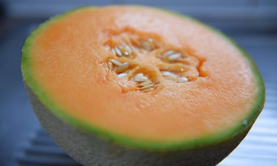 Australia: 3 người tử vong vì nhiễm khuẩn Listeria do ăn dưa lưới australia 3 nguoi tu vong vi nhiem khuan listeria do an dua luoi