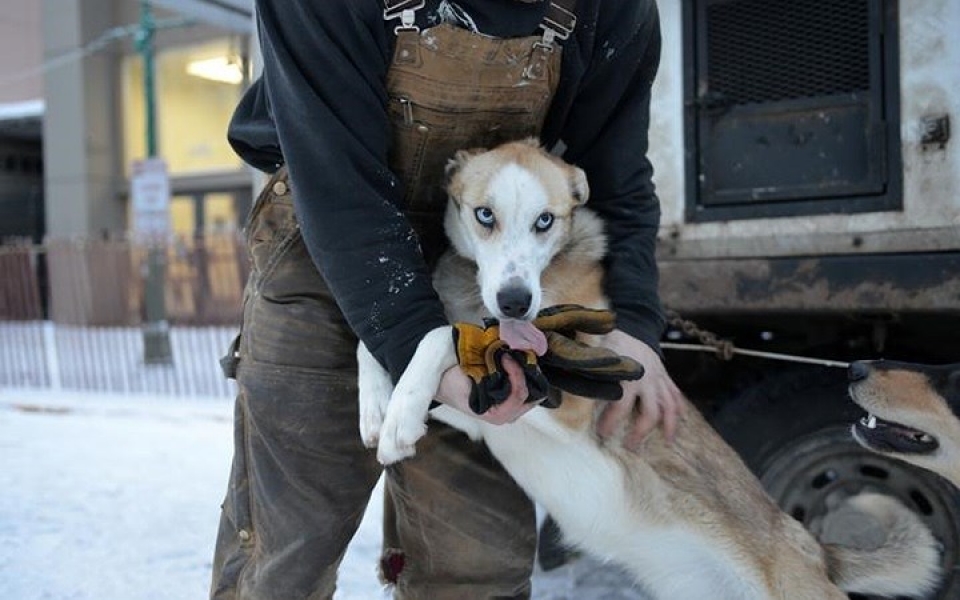 cuoc dua cho keo xe tai alaska chua bao gio het hap dan