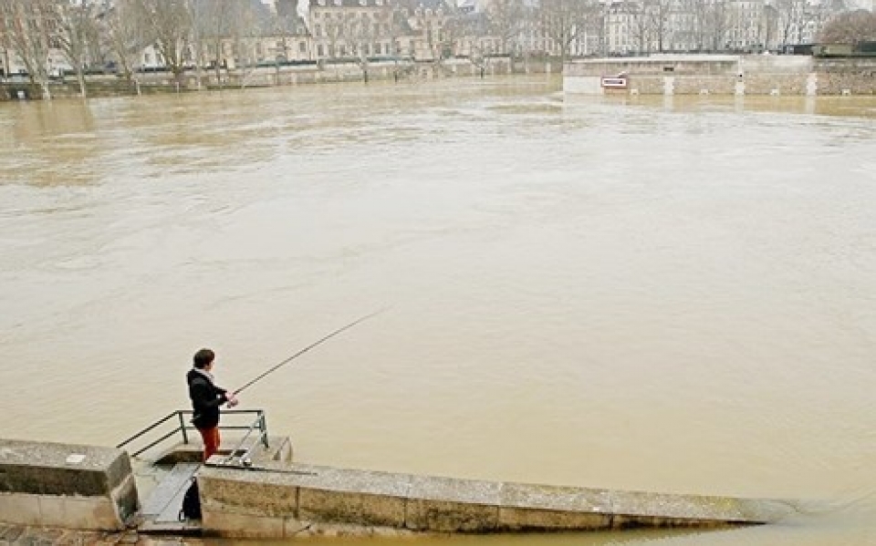 Pháp có thể cấm đánh bắt và câu cá ở thủ đô Paris phap co the cam danh bat va cau ca o thu do paris