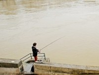 Pháp có thể cấm đánh bắt và câu cá ở thủ đô Paris