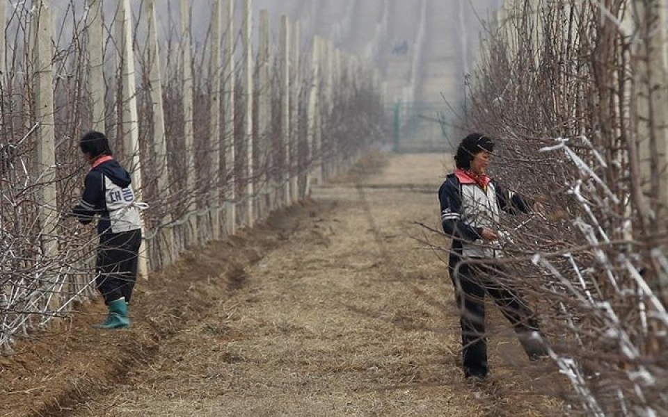 trieu tien hinh anh phat trien hien dai lan dau duoc cong bo