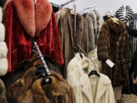 Mỹ: Một số thành phố lớn cấm bán lông thú để bảo vệ động vật