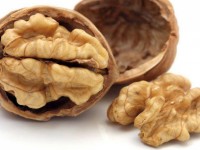 tin hieu nao se duoc giai ma thanh van ban trong tuong lai