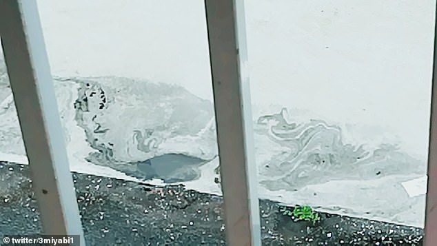 ky la hinh anh mua den bi an doi xuong nuoc nhat