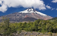 Những chuyến du lịch chậm hấp dẫn, ngắm thế giới 'lướt qua bước chân mình'