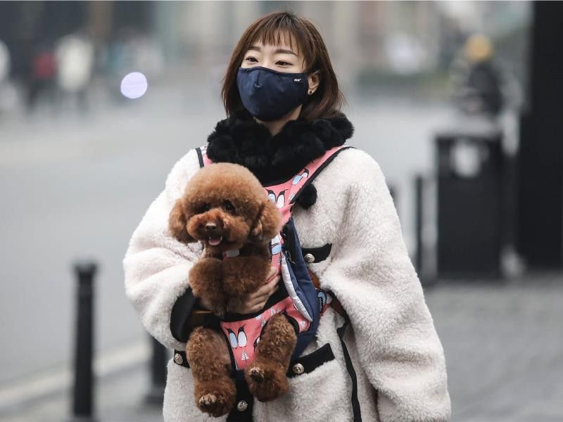 chu cho duong tinh yeu voi sars cov 2 da co ket qua am tinh