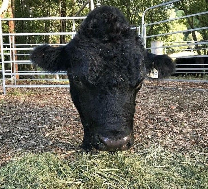 hoa mat voi nhung hinh anh trung hop kho tin trong cuoc song