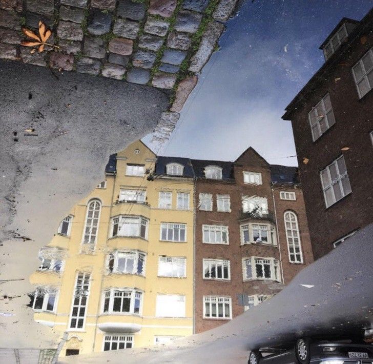 hoa mat voi nhung hinh anh trung hop kho tin trong cuoc song