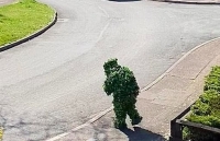 Video người đàn ông hóa trang thành bụi cây để trốn cách ly Covid-19 thu hút triệu view