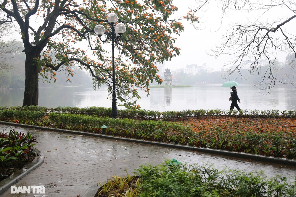 Dự báo thời tiết ngày và đêm nay (2/3): Bắc Bộ trời rét; Tây Bắc, Trung Bộ mưa rào vài nơi; miền Đông Nam Bộ nắng nóng, có nơi trên 3 độ