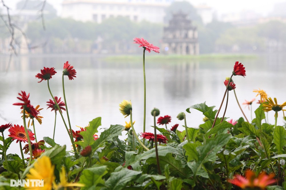 Dự báo thời tiết đêm nay và ngày mai (3-4/3): Đông Bắc Bộ trời rét, khu vực Tây Bắc, Bắc Trung Bộ mưa rào và dông; Đông Nam Bộ ngày nắng nóng