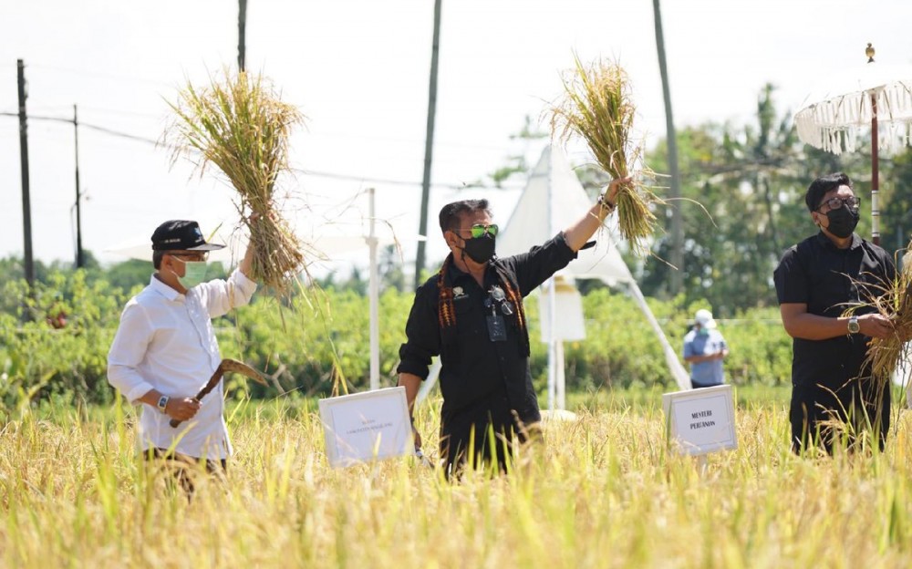 Củng cố nền kinh tế giữa đại dịch Covid-19, Indonesia phát triển mô hình du lịch nông nghiệp Củng cố nền kinh tế giữa đại dịch Covid-19, Indonesia phát triển mô hình du lịch nông nghiệp