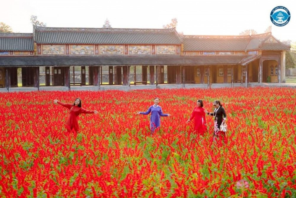 Gợi ý những điểm check-in mới nhất tại Huế dịp cuối tuần