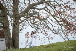 Bắc Giang: Cây gạo cổ thụ 'song sinh' đẹp như tranh vẽ hút khách check-in