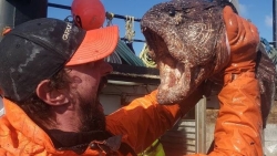 Ngư dân Mỹ bắt được 'quái vật biển' có miệng rộng khổng lồ
