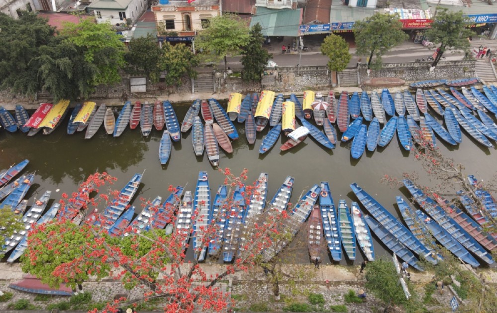 Chùa Hương: Hoa gạo cổ bung nở tỏa sắc