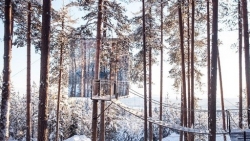 Thụy Điển: Khách sạn độc đáo được nâng cấp từ những ngôi nhà treo trên cây