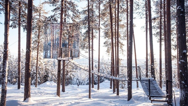 Độc lạ những ngôi nhà treo trên cây ở Thụy Điển