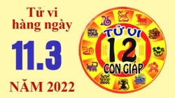 Tử vi hôm nay, xem tử vi 12 con giáp ngày 11/3/2022: Tuổi Thìn chú ý cách ăn nói