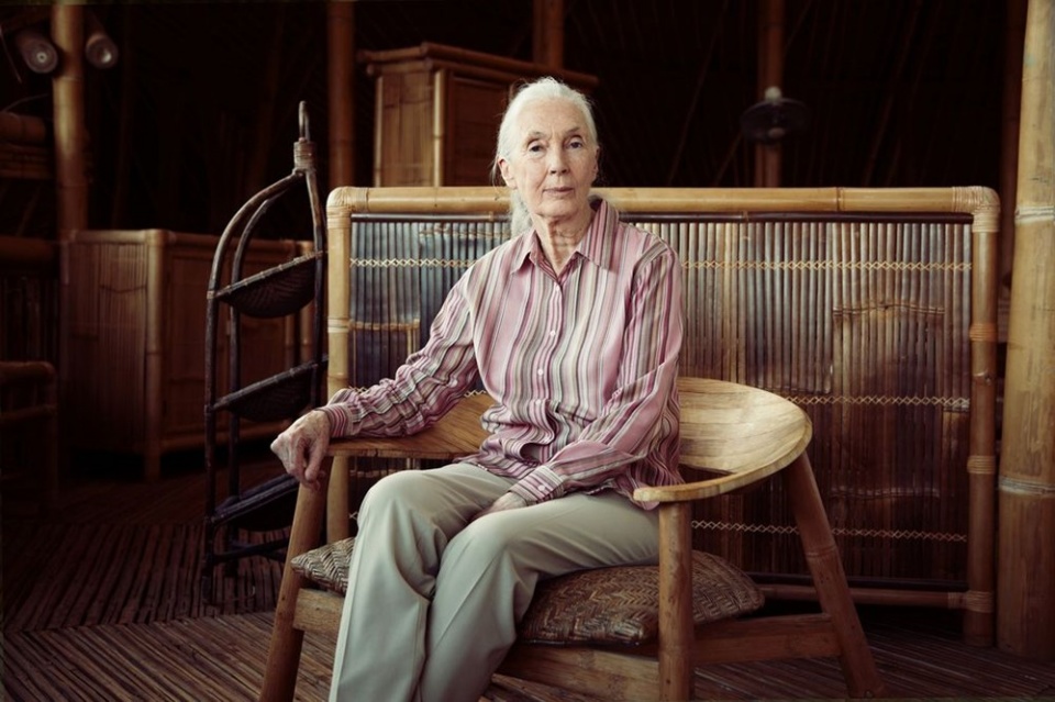 thanh pho shariah lung linh trong le hoi anh sang