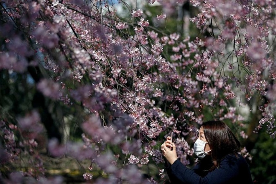 hang trieu nguoi nhat phu thuoc vao khau trang do yeu to tam ly