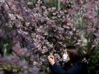 indonesia phong ngua virus corona nguoi dan can rang mua hop khau trang y te gia 16 gram vang