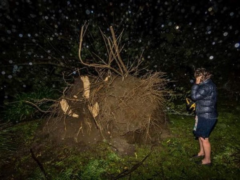 new zealand ngon ngang sau khi sieu bao nhiet doi cook quet qua