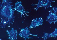 mexico tran 3 tan axit sunfuric ra vinh california