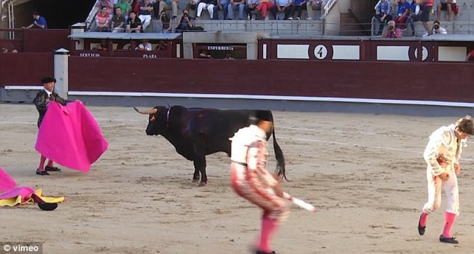 nguoi dau bo va giay phut sinh tu truoc mui sung bo tot