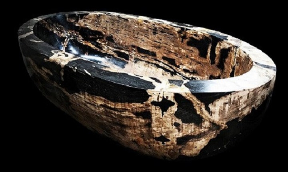 bon tam lam tu go hoa thach 180 trieu nam tuoi 45 ty dong