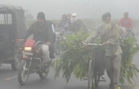 Hơn 95% dân số thế giới hít thở không khí ô nhiễm