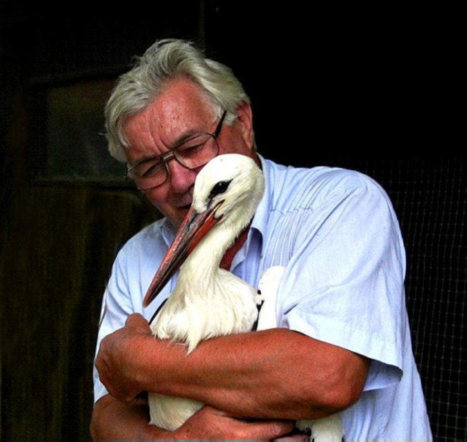 chuyen tinh cua co co khuyet tat khien nhieu trai tim tan chay