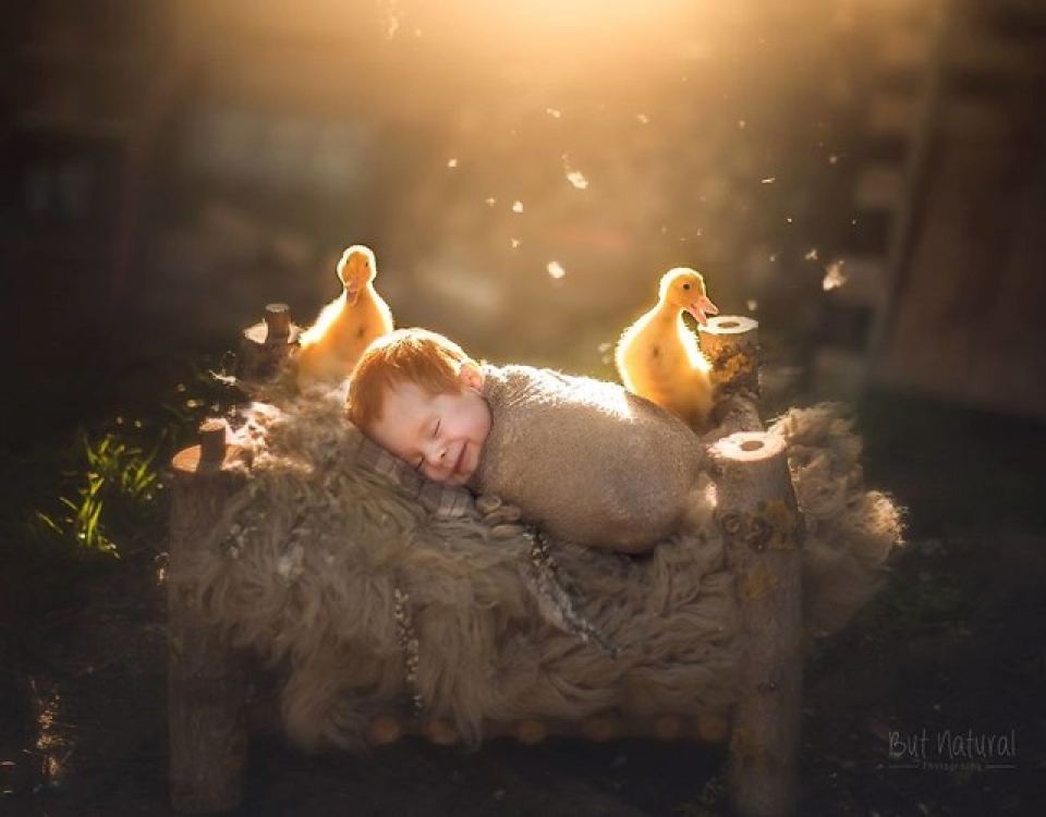 bo anh tuyet dep chup em be voi thu cung