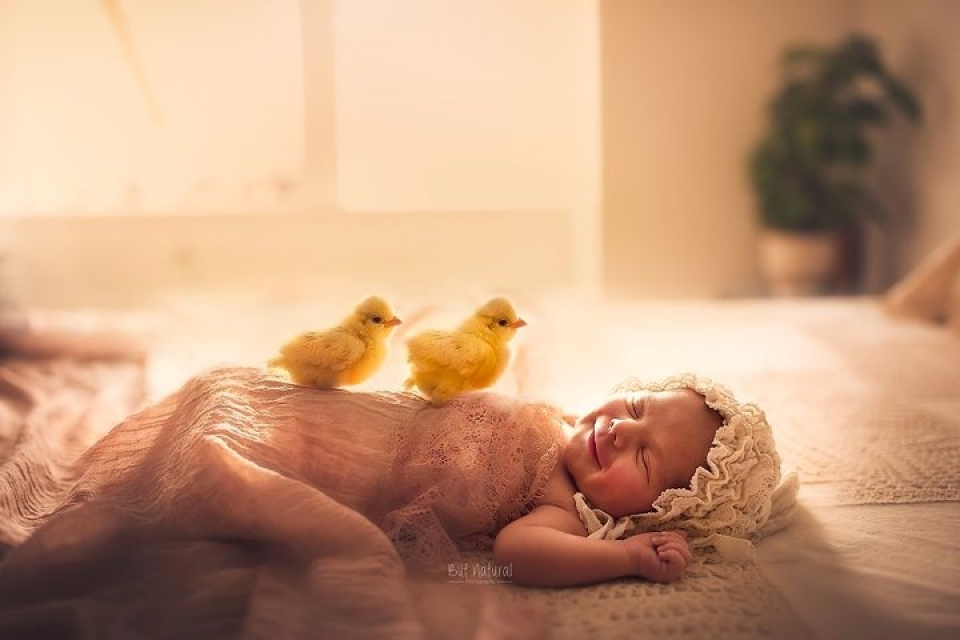 bo anh tuyet dep chup em be voi thu cung