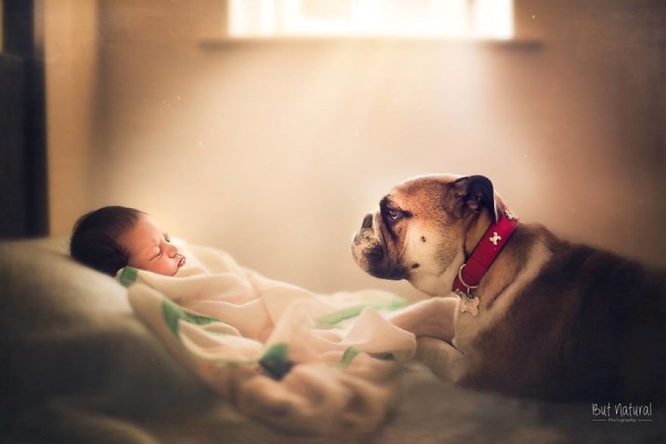 bo anh tuyet dep chup em be voi thu cung