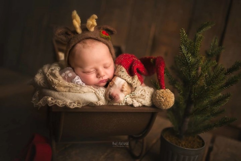 bo anh tuyet dep chup em be voi thu cung