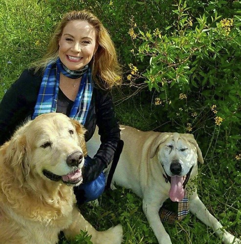 hanh trinh di tim mai am cua chu cho co khuon mat xau xi nhat the gioi