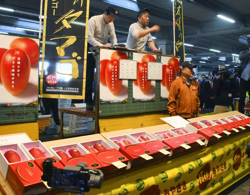 sieu hang cap xoai nhat ban 500000 yen