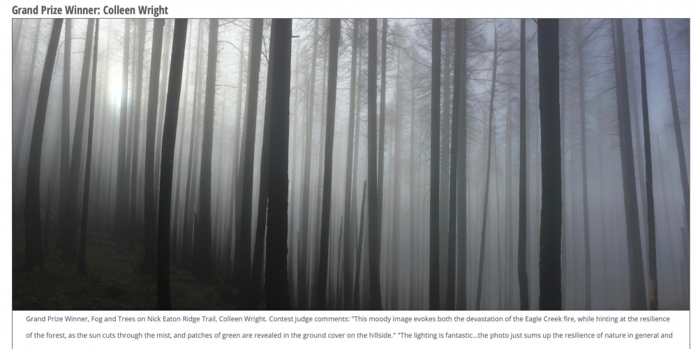 anh chup bang iphone 6 gianh giai nhat trong cuoc thi anh tai my