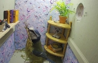 phat hien can phong bi mat nam duoi cung dien gan 2000 nam tuoi