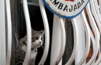 cha cua nha sang lap wikileaks keu goi thu tuong australia can thiep