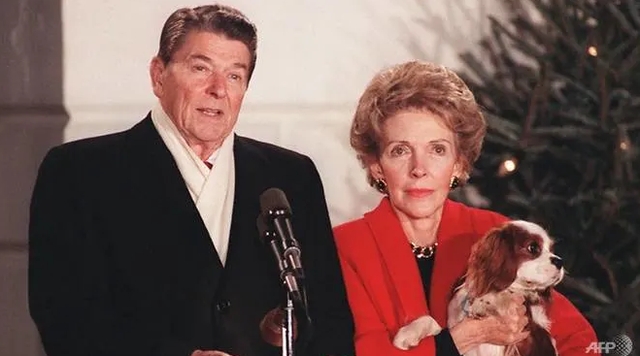 thang cu tong thong ukraine zelensky khong phai nguyen thu ngoai dao dau tien